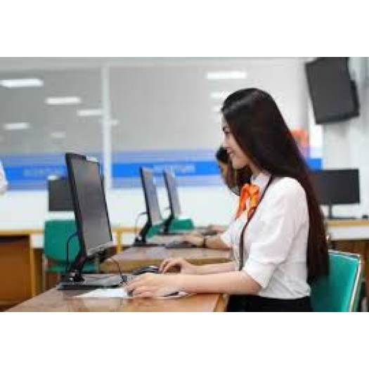 KHO VẢI NHƯ THANH Cần Tuyển 2 Nữ Kế Toán Nội Bộ Nhập Liệu (1)