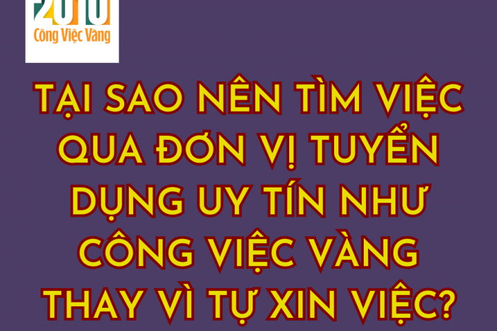 Tại Sao Nên Tìm Việc Qua Đơn Vị Tuyển Dụng Uy Tín Như Công Việc Vàng Thay Vì Tự Xin Việc?